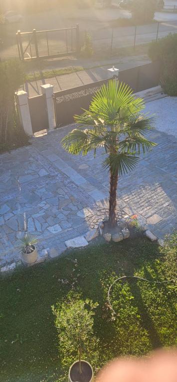 uma palmeira num quintal com um caminho de pedra em Valentin em Drumettaz-Clarafond