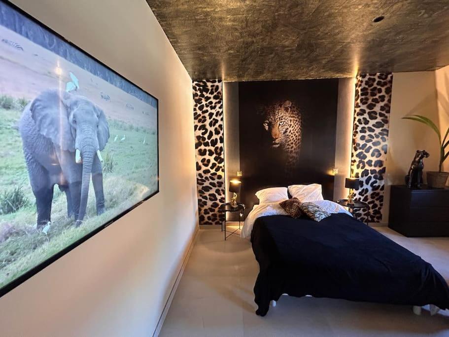 Esprit AFRICA, SPA et SAUNA de luxe – photo 6