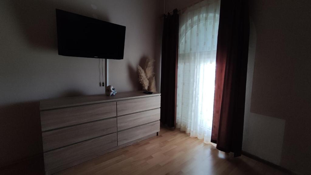 Televízia a/alebo spoločenská miestnosť v ubytovaní Apartment Vir