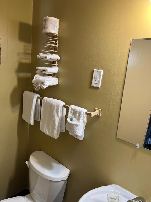 Koupelna v ubytování Motel 66