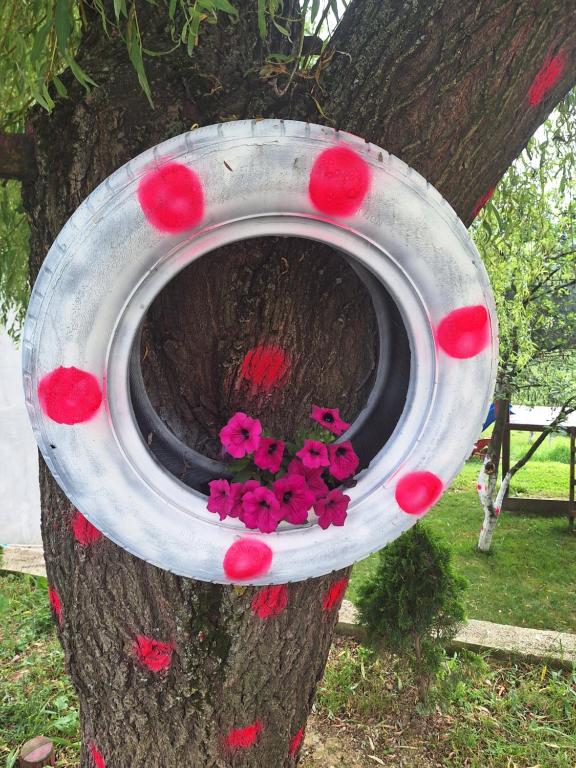 Zahrada ubytování Tent Camping