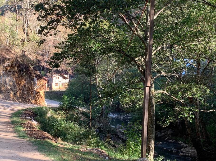 a tree on the side of a road at Hermosa casita con vista al río. in San Cristóbal de Las Casas