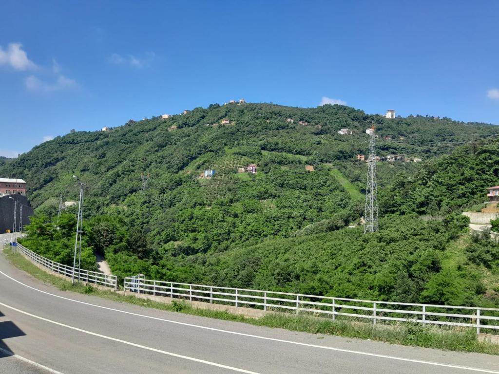 a highway with a hill with trees on it at Newsuit2023 in Trabzon