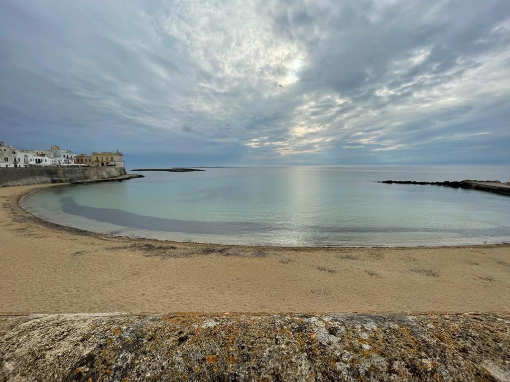 a view of a beach with the ocean at Sea Paradise in Gallipoli