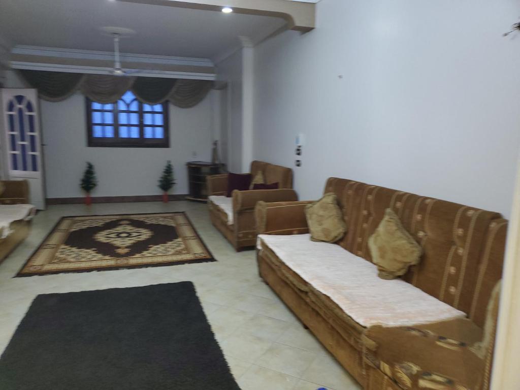 sala de estar con sofá y alfombra en Mena Apartment, en El Cairo