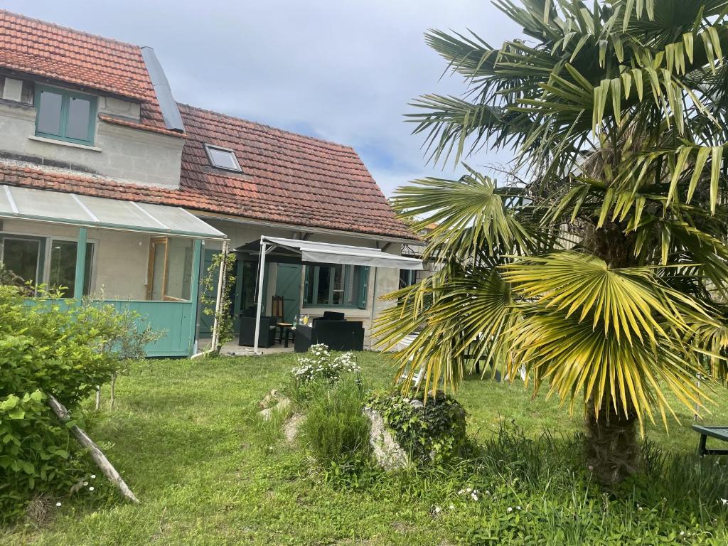 una casa con una palmera en el patio en Saumur, proche, les 3 gîtes, en Saint-Martin-de-la-Place