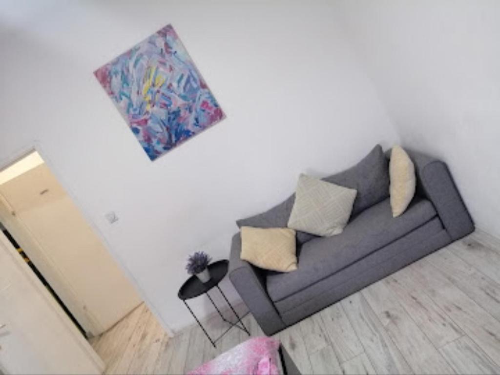 尼什的住宿－Mitić Apartman's，客厅配有沙发和墙上的绘画