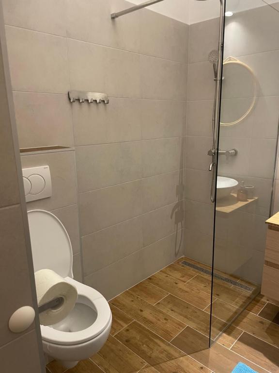 Kúpeľňa v ubytovaní Apartman Gabrijel