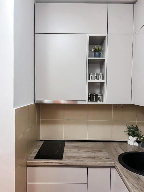 Eldhús eða eldhúskrókur á Apartman Vas dom 2