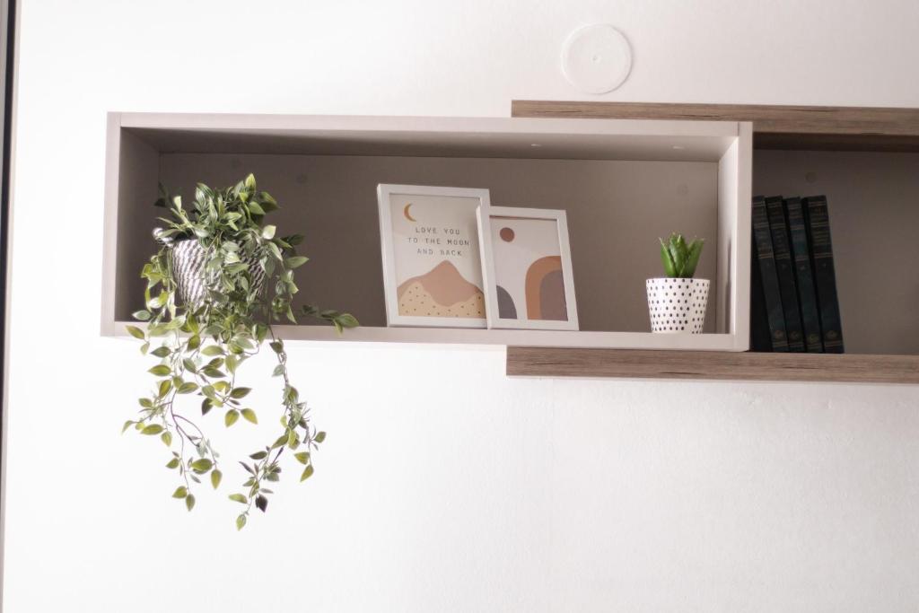 Mynd úr myndasafni af Apartman Vas dom 2 í Kraljevo