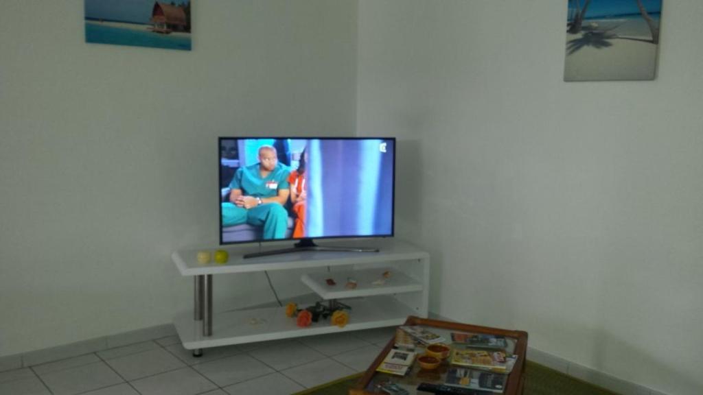TV a/nebo společenská místnost v ubytování Villa Arc-en-ciel