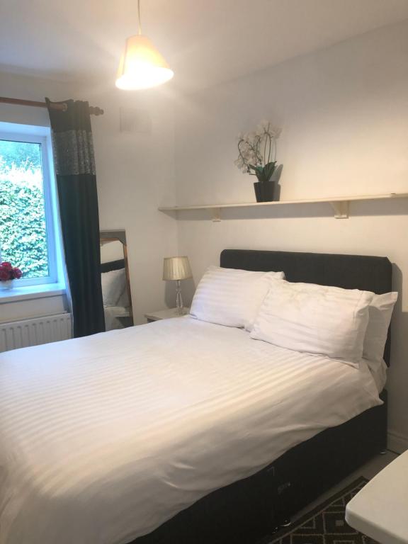 private room to rent, Midleton (updated prices 2024)