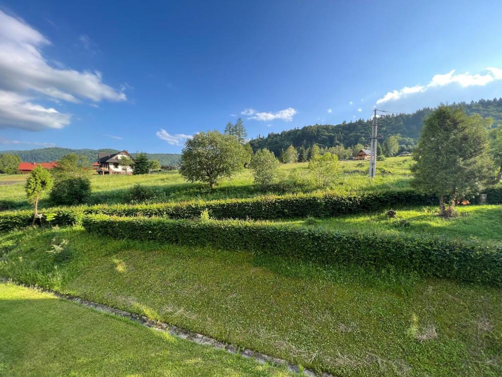 a garden with green grass and trees in a field at Apartament pod Honem in Cisna