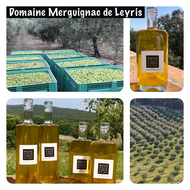 Fotografia z galérie ubytovania Mas Grenadine, magnifique villa du Piémont Cévenol v destinácii Sauve