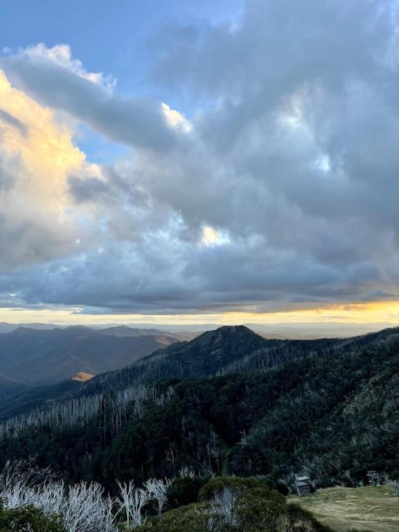 Mount Buller Apartment, Mount Buller (updated prices 2024)