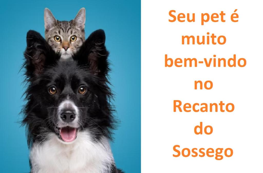 um gato sentado em cima de um cão preto e branco em Recanto do Sossego em Águas de Lindoia