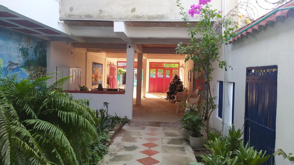 Zahrada ubytování Milimar Hostal