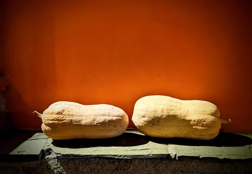 Fotografie z fotogalerie ubytování Terra Del Bosco Agriturismo v destinaci Sesta Godano