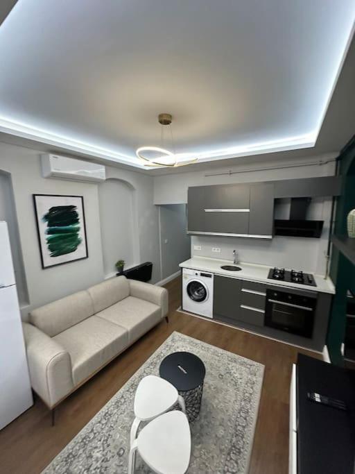 Magnificent house in the historical peninsula 3