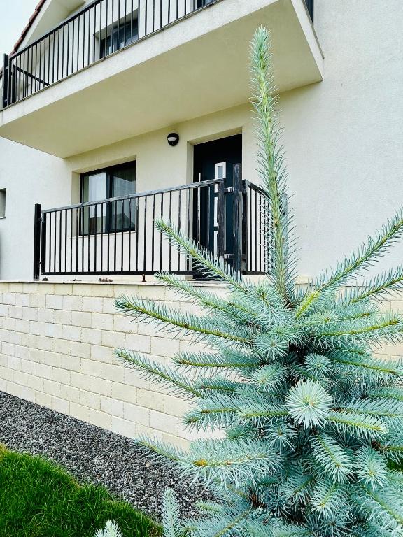 Zahrada ubytování Hermes Guest House