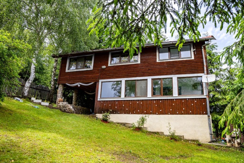 a house on a hill with a green yard at Cabana Misha in Băişoara