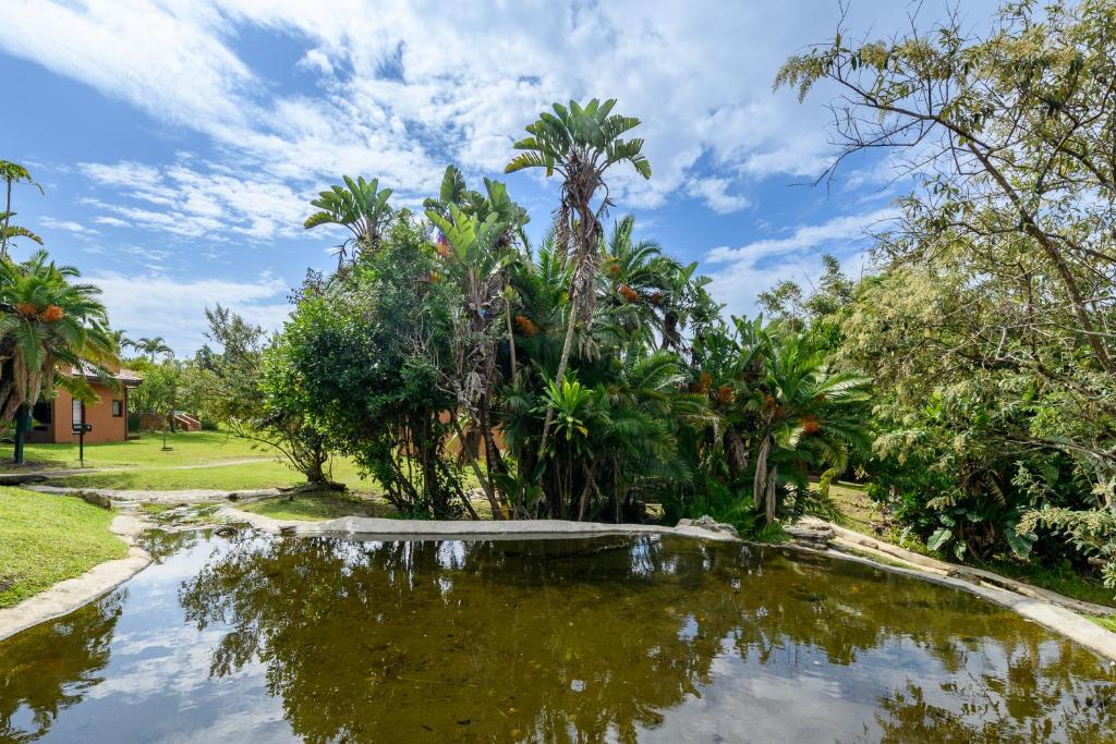 a pond in a yard with palm trees at San Lameer Villa 1902 - 2 Bedroom Classic - 4 pax - San Lameer Rental Agency in Southbroom