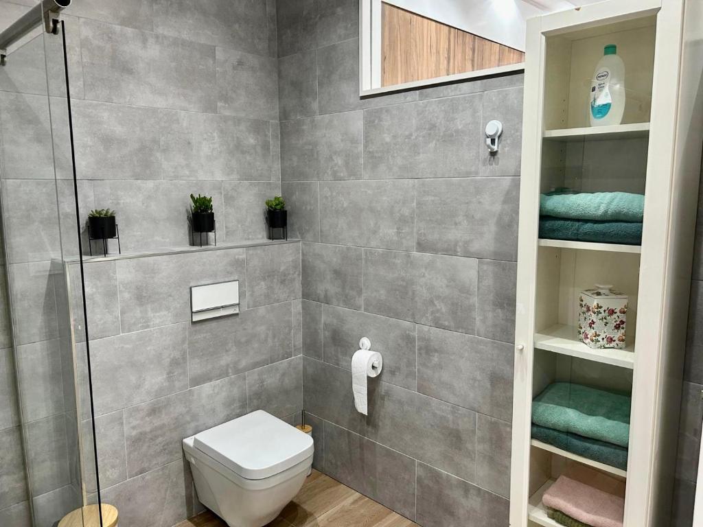 a bathroom with a toilet and a shower at Cómodo y Moderno piso en el centro de Santander in Santander
