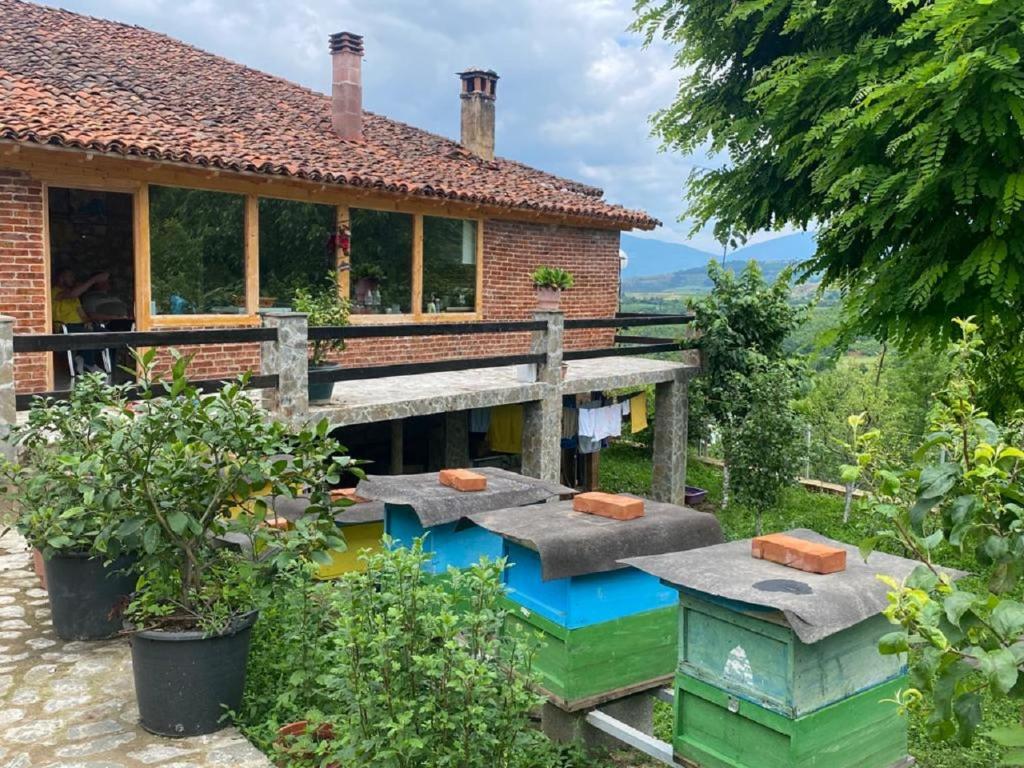 Guest House Hyseni - Image 3