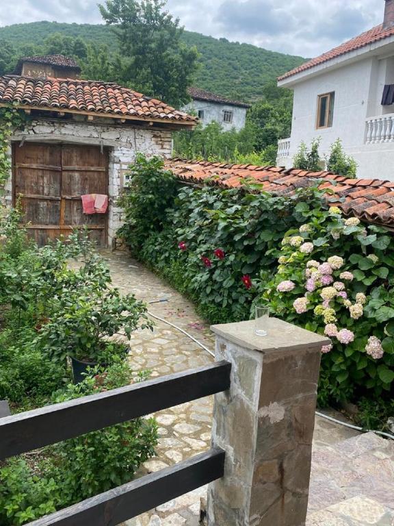 Guest House Hyseni - Image 5
