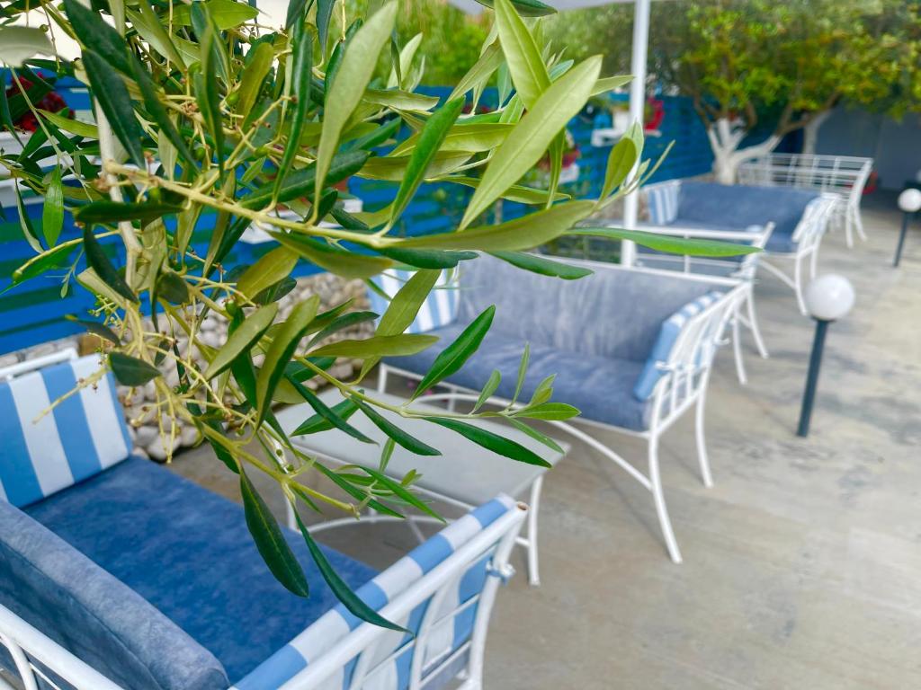 Gallery image of KRED HOTEL in Orikum