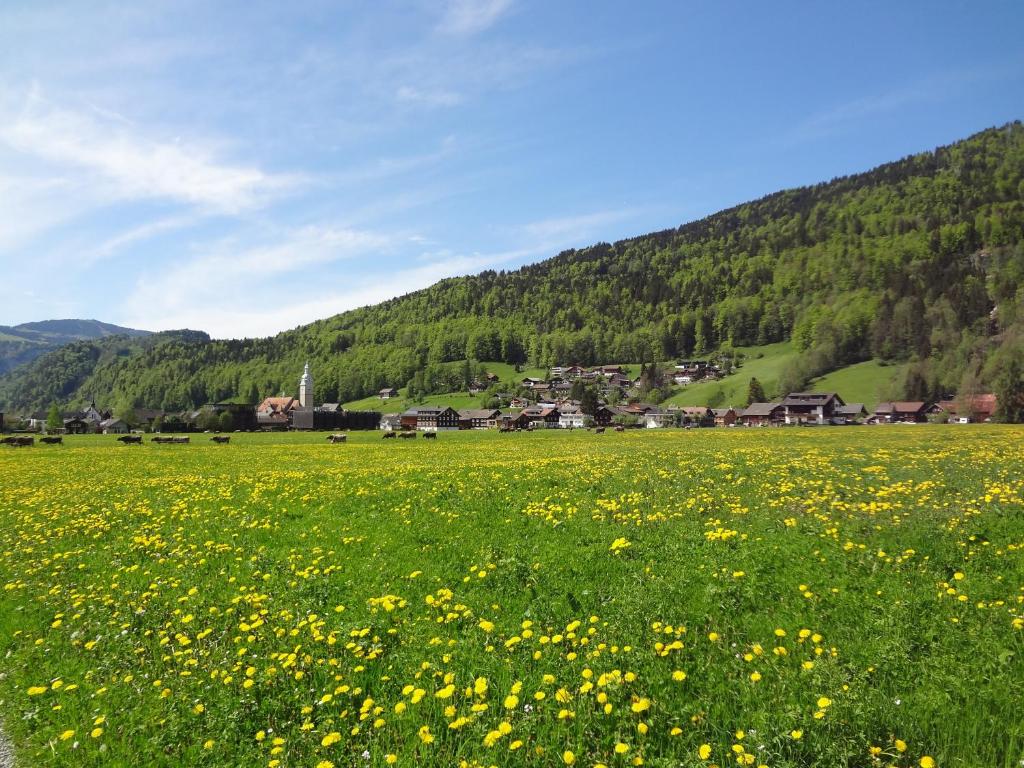 Příroda nedaleko apartmánu