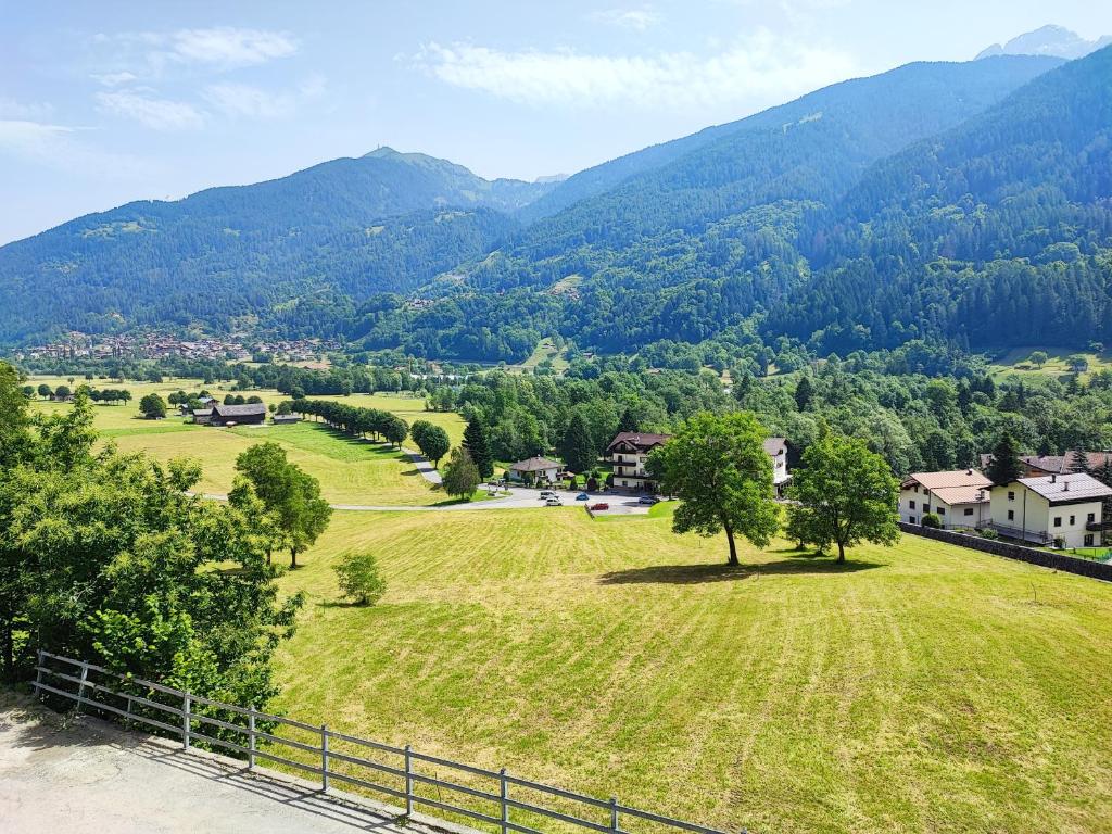 a green field with trees and mountains in the background at Casa Sartori in Caderzone Terme