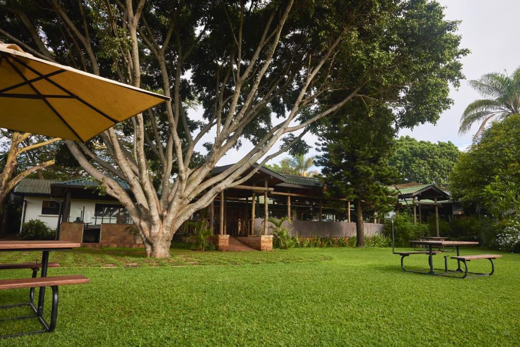 a park with two picnic tables and a tree at Aero Club of East Africa in Nairobi