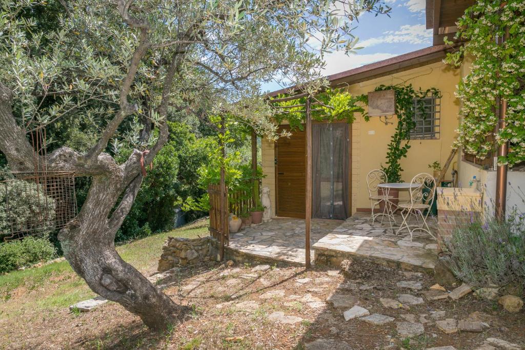 a small yellow house with a table and a tree at La Poggiolina in Toscana in Guardistallo