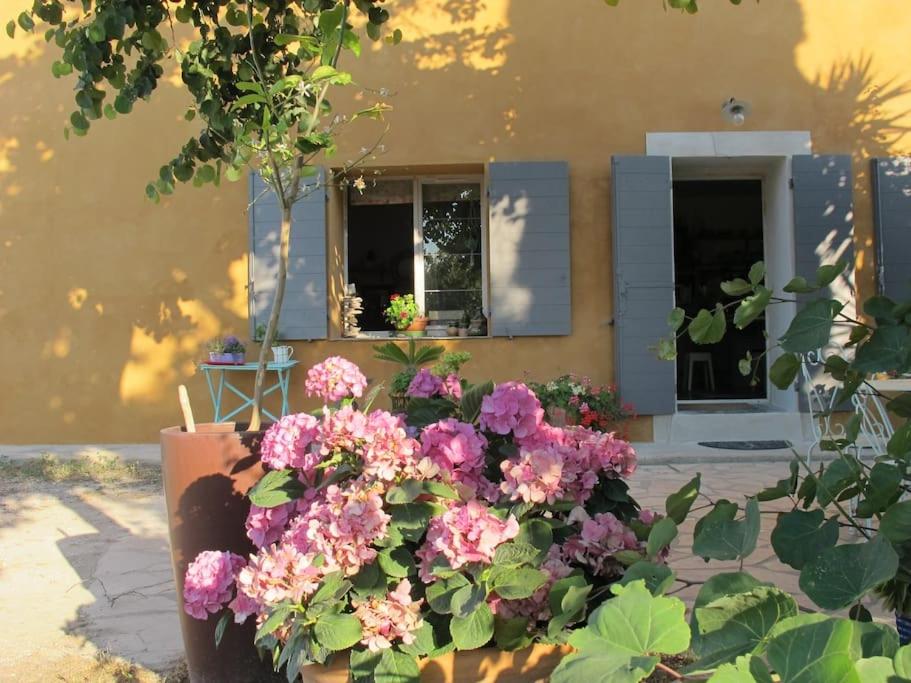 een bos bloemen voor een gebouw bij Mas dans vignoble classé, plages, randos, village. in Le Pradet