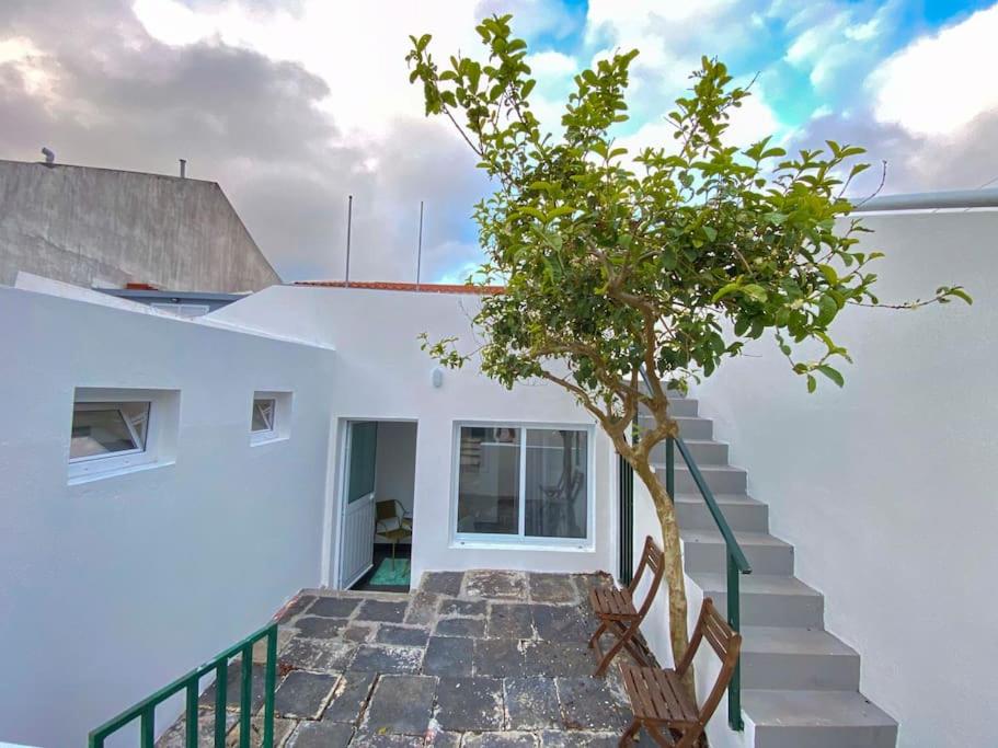 eine Treppe, die zu einem weißen Gebäude mit einem Baum führt in der Unterkunft Brisa do Mar in São Roque