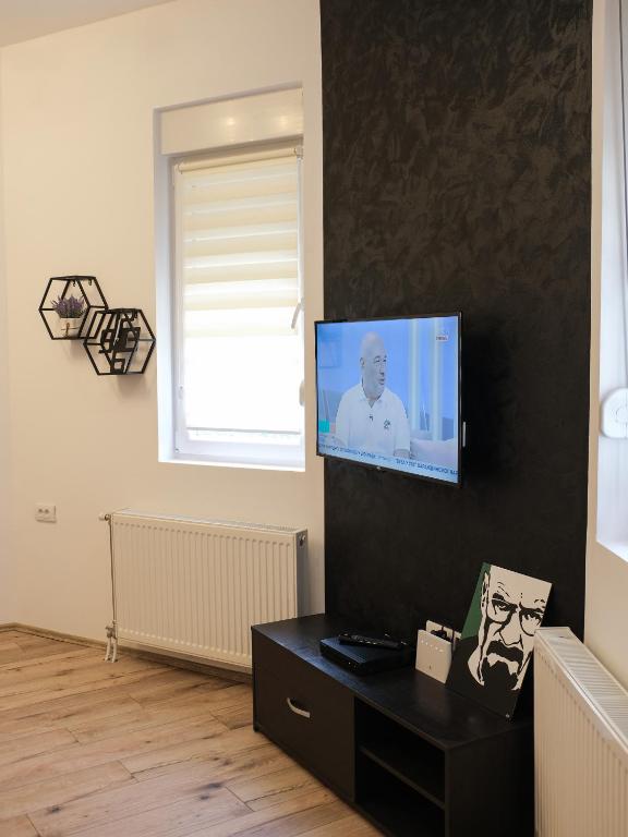 TV a/nebo společenská místnost v ubytování Hexagon Apartment