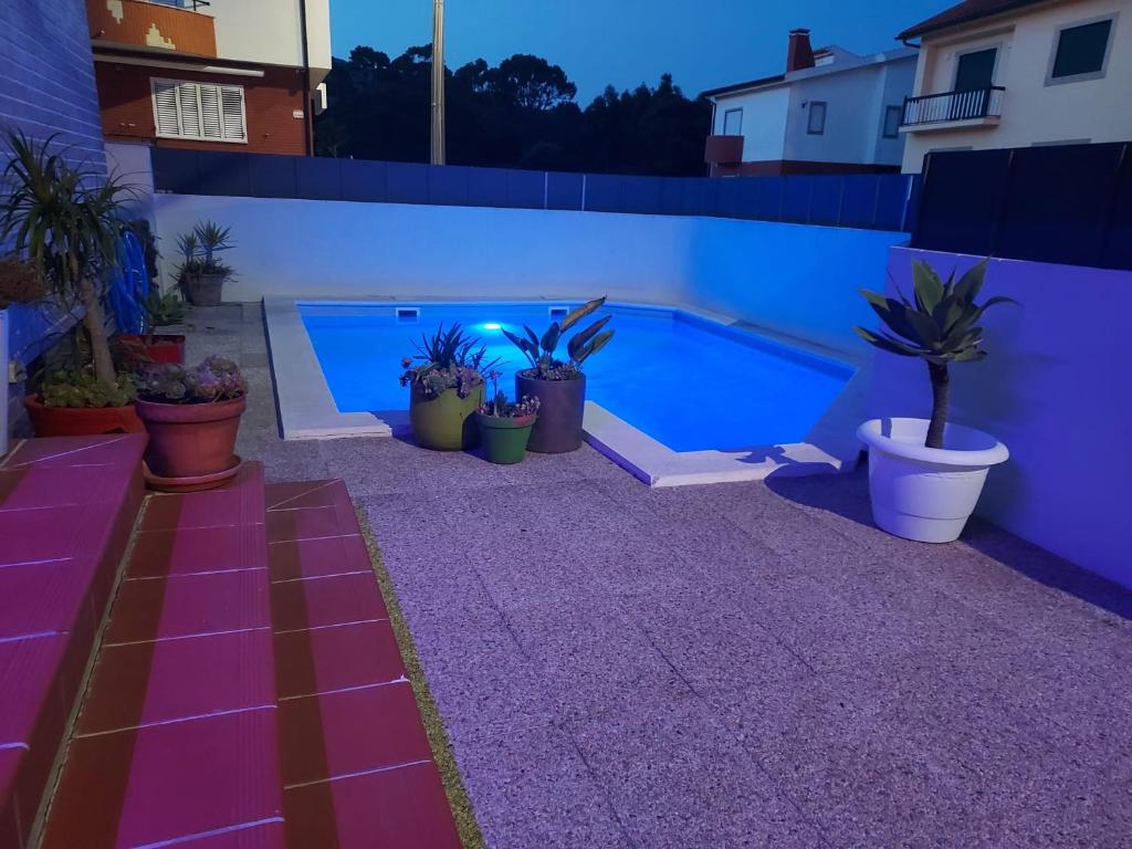 un patio trasero con piscina y macetas en Barrosa House, en Vila Praia de Âncora