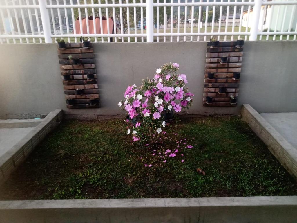 En have udenfor Ramos de Oliveira