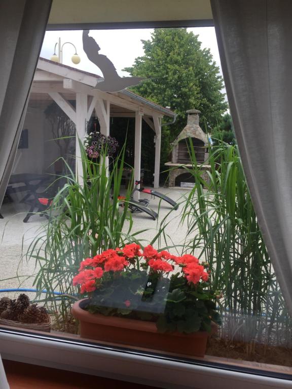 Zahrada ubytování Villa Zosia