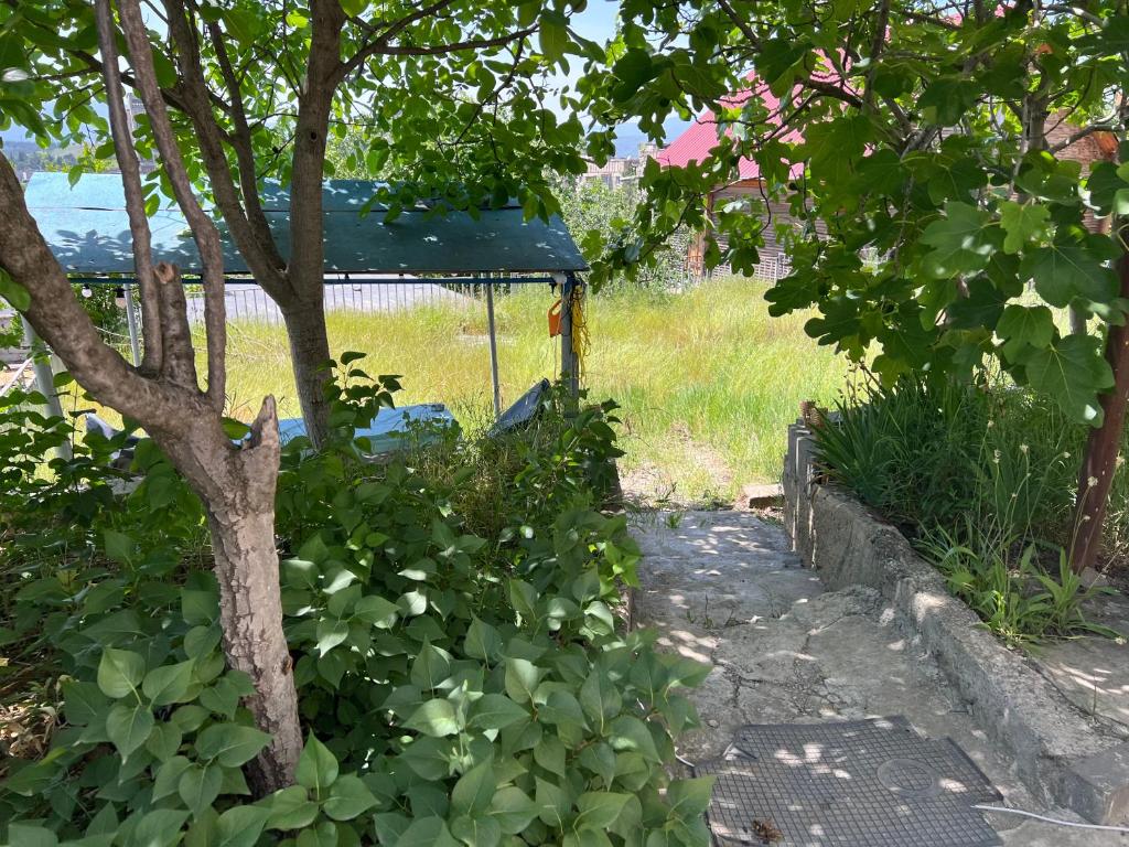 Private House في تبليسي: حديقة فيها شجرة و شرفة