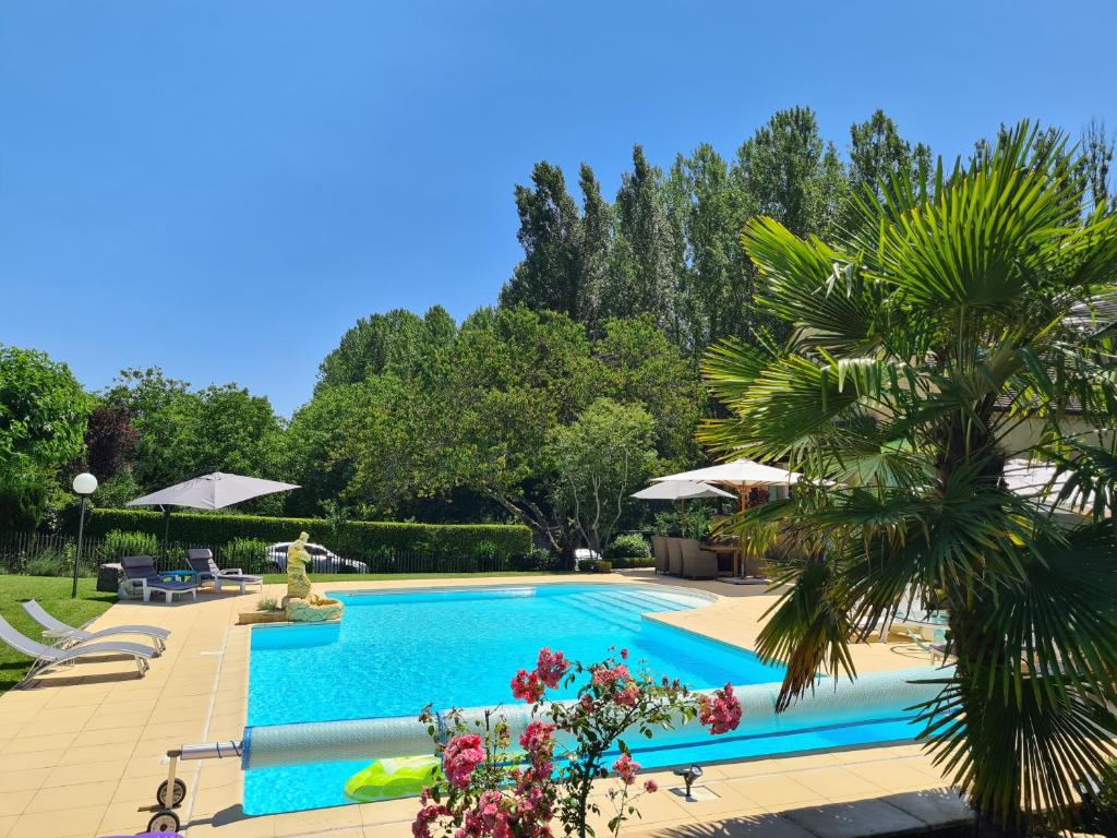 a swimming pool with a palm tree next to it at Le Malpas Kingfisher in Belvès