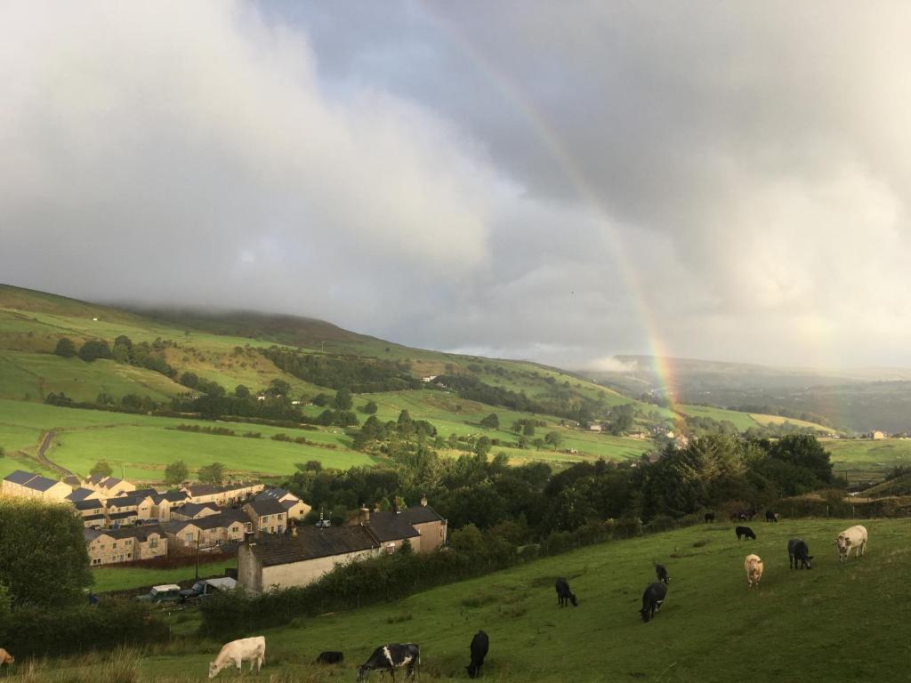 a group of cows grazing in a field with a rainbow in the background at 2 Double Rooms-Sleeps 4- 2 Bathrooms in Rossendale