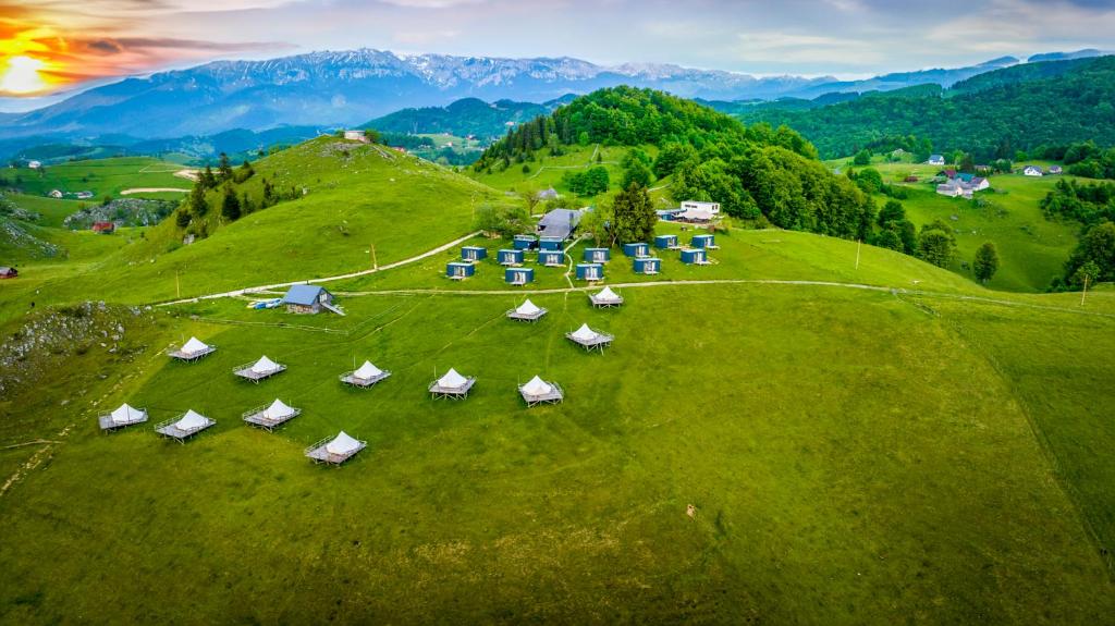 希爾內亞的住宿－Ursa Mica Glamping Resort，绿色山丘上一组帐篷的空中景致