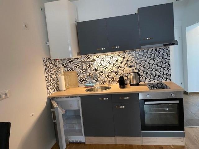 cocina con fregadero y fogones horno superior en Paky Appartements 00316, en Bruck an der Leitha