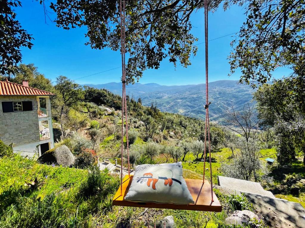 a swing in a field with a house at Quinta Alma Verde 
