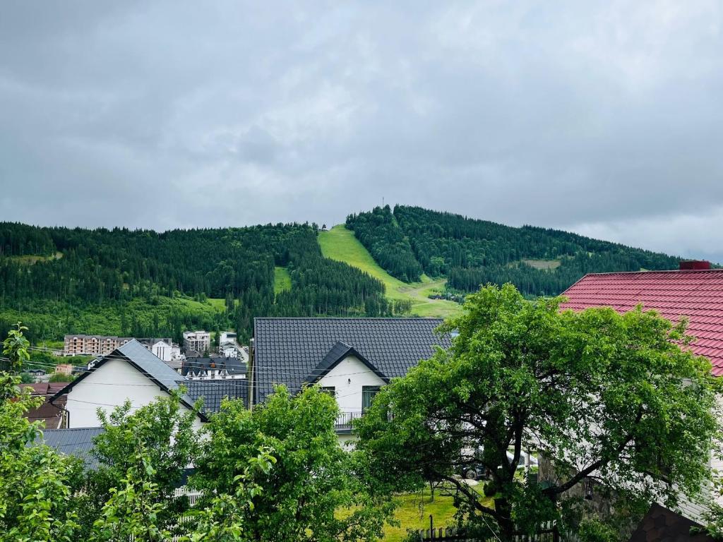 a town with houses and a hill with trees at Smerichka in Bukovel