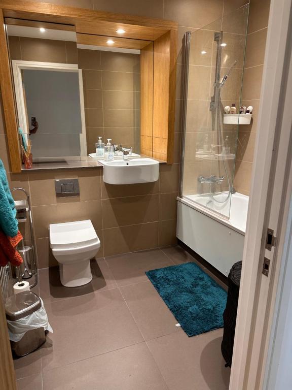 uma casa de banho com um WC, um lavatório e um chuveiro em Lovely Stay near Central London em Londres