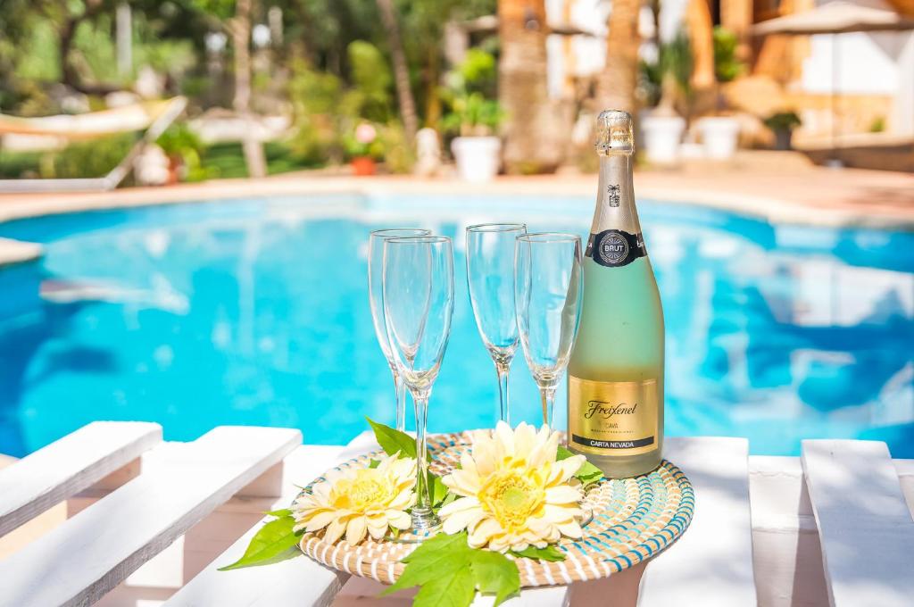 Напитки в Ideal Property Mallorca - Sol de Mallorca 1