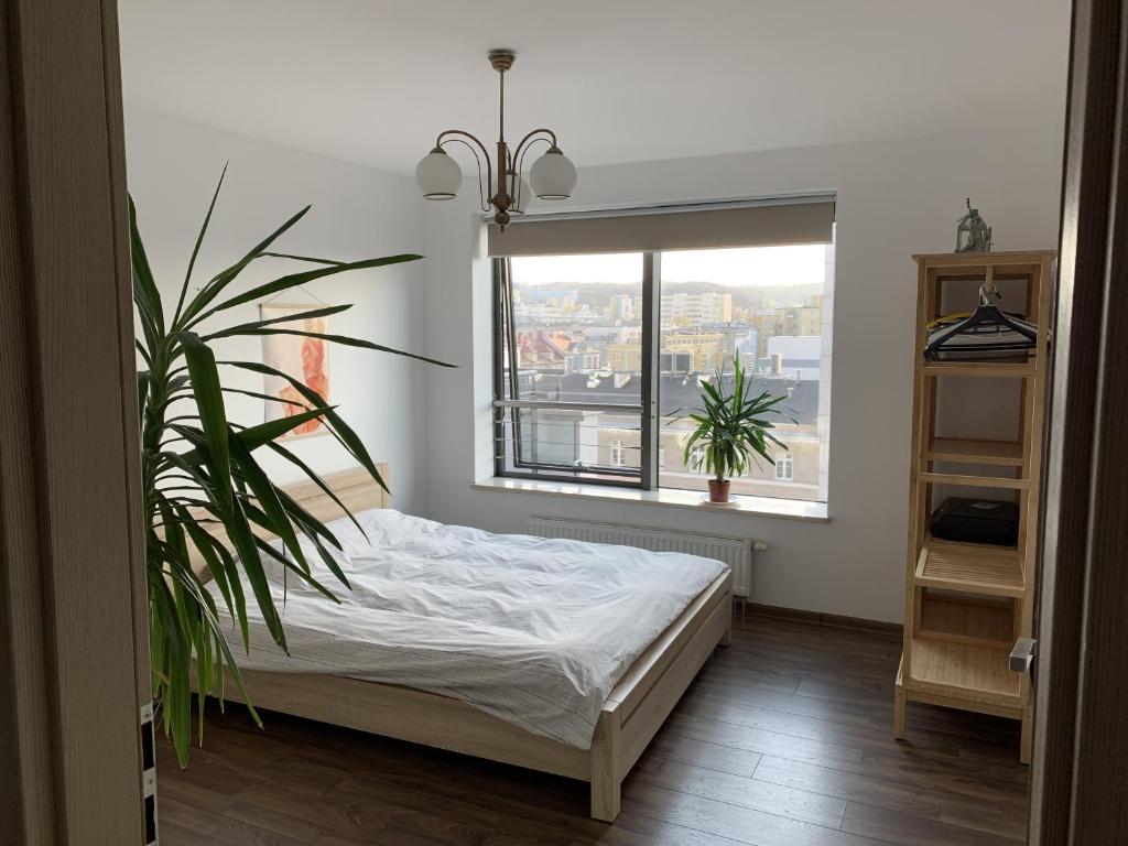 Un dormitorio con una cama y una ventana con una planta en Apartament Plac Kaszubski, en Gdynia